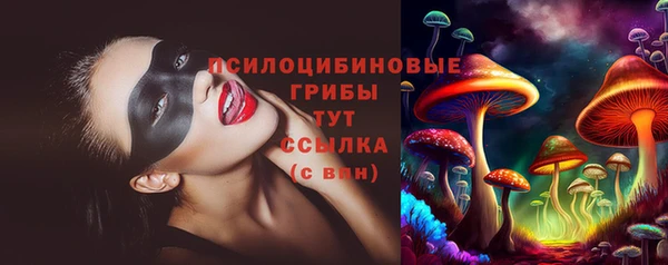 PSILOCYBIN Белокуриха